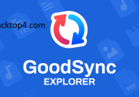 GoodSync v12 Crack + Activation Key Free Download (2025)