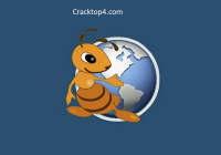 Ant Download Manager Pro 2.16.2 With Crack & Serial Keys 2025