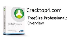 TreeSize Professional 9.7.1.2201 Crack + Serial Key Free Download 
